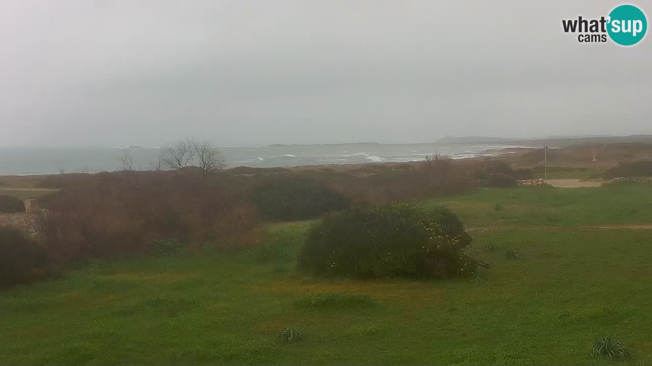 Mari Ermi Strand | Is Arutas – Oristano