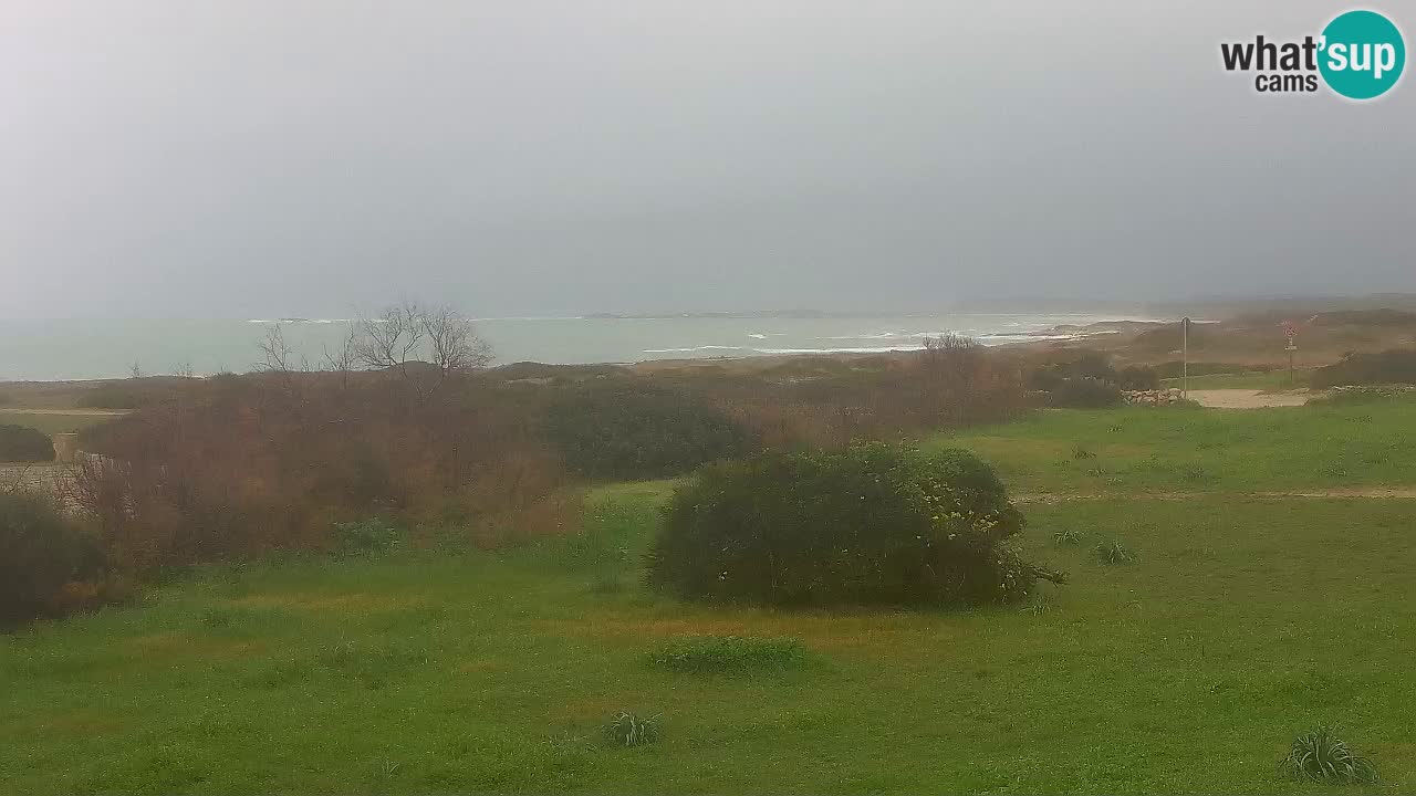 Spiaggia Mari Ermi | Is Arutas – Oristano