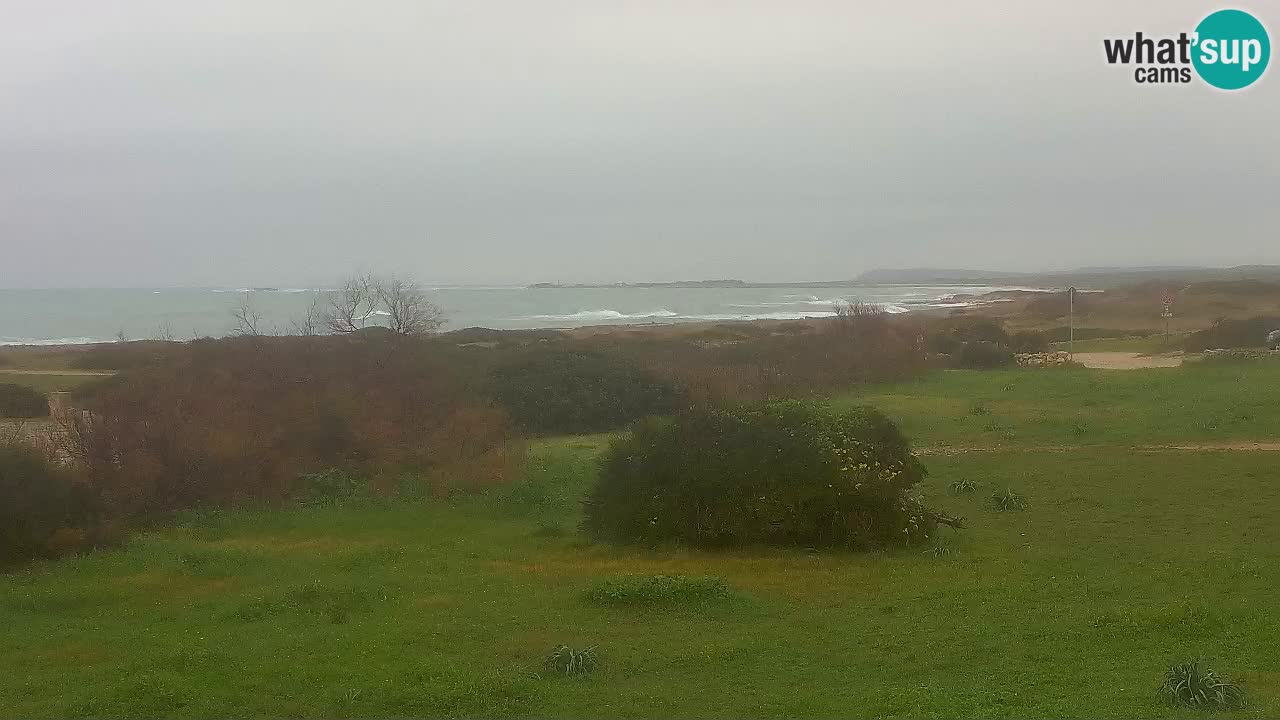 Playa Mari Ermi | Is Arutas – Oristano