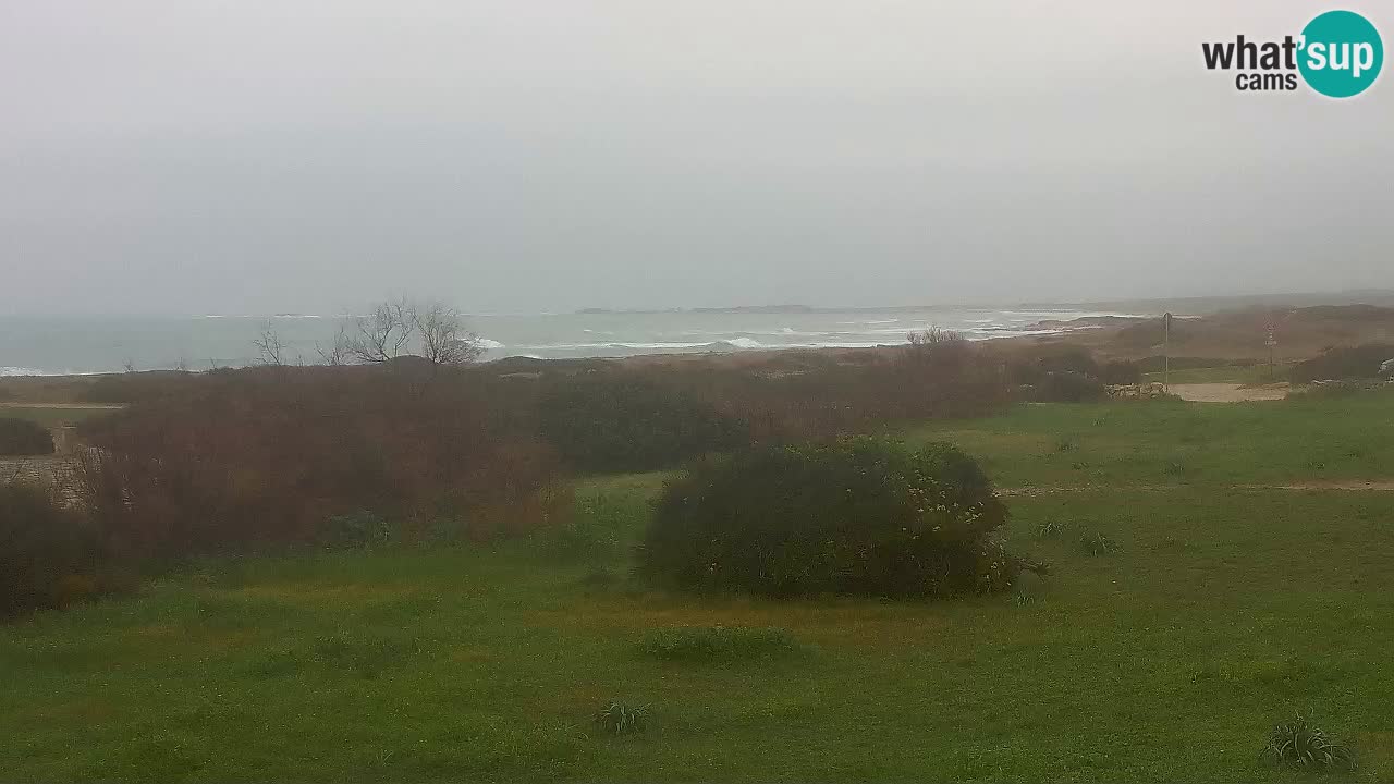 Mari Ermi Strand | Is Arutas – Oristano