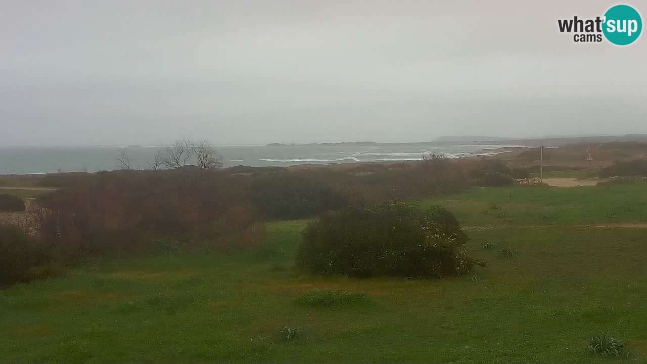 Playa Mari Ermi | Is Arutas – Oristano