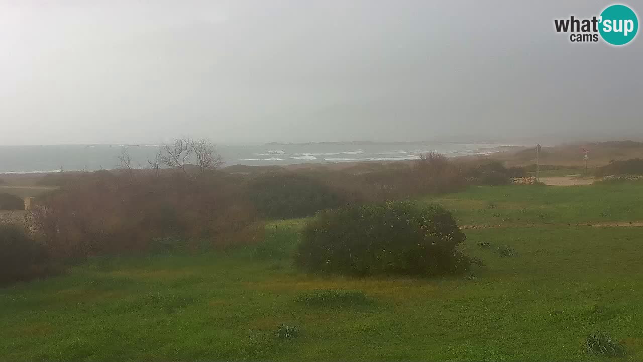 Plaža Mari Ermi | Is Arutas – Oristano