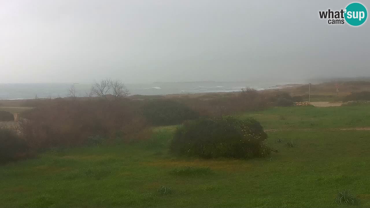 Mari Ermi Strand | Is Arutas – Oristano