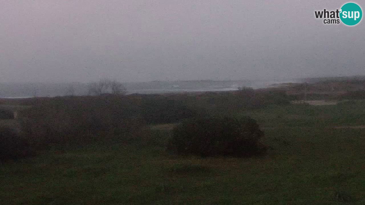 Mari Ermi Strand | Is Arutas – Oristano