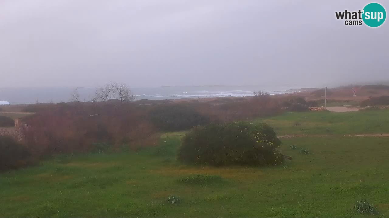 Mari Ermi Strand | Is Arutas – Oristano