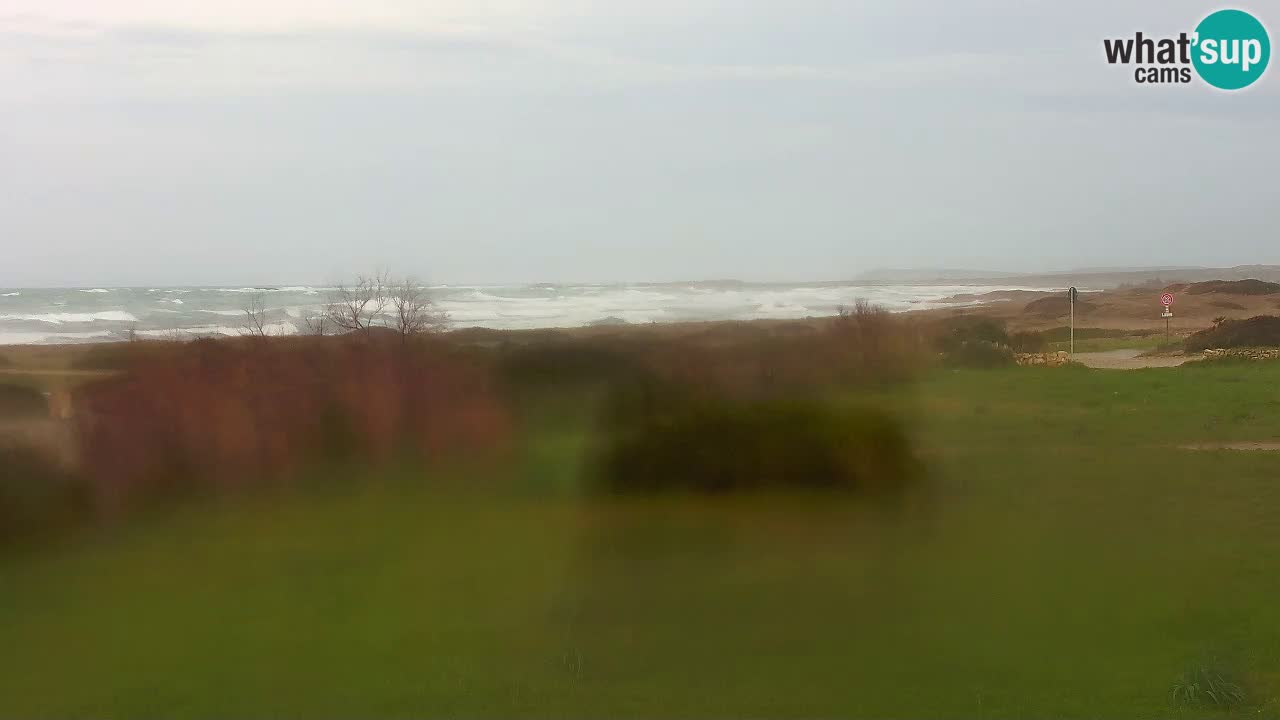 Plaža Mari Ermi | Is Arutas – Oristano