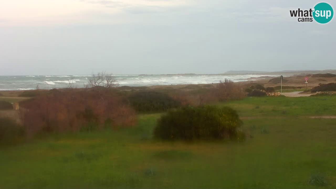 Mari Ermi beach | Is Arutas – Oristano