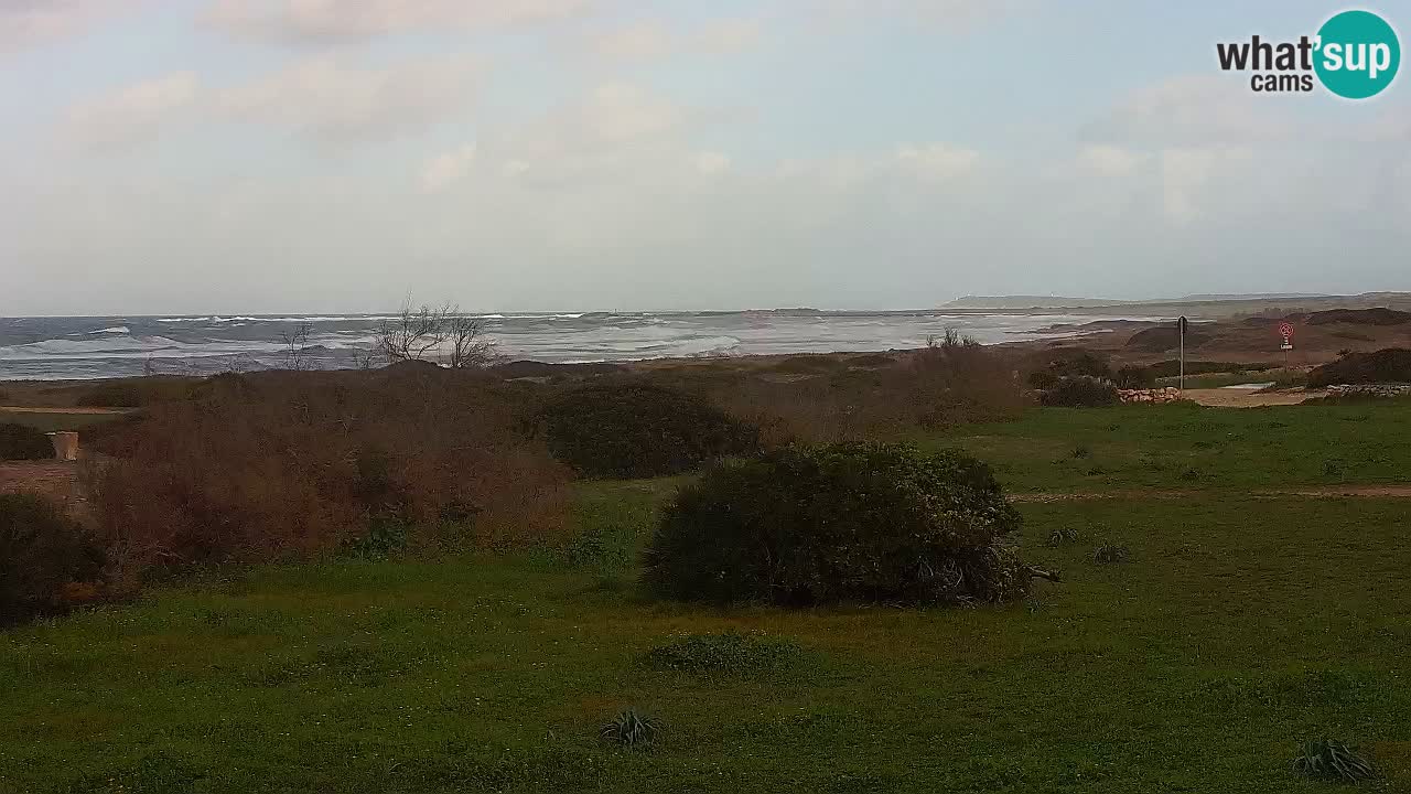 Plaža Mari Ermi | Is Arutas – Oristano