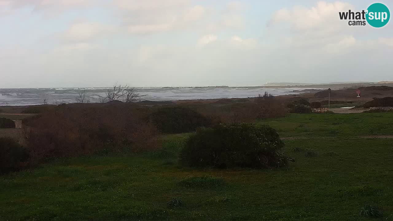 Playa Mari Ermi | Is Arutas – Oristano