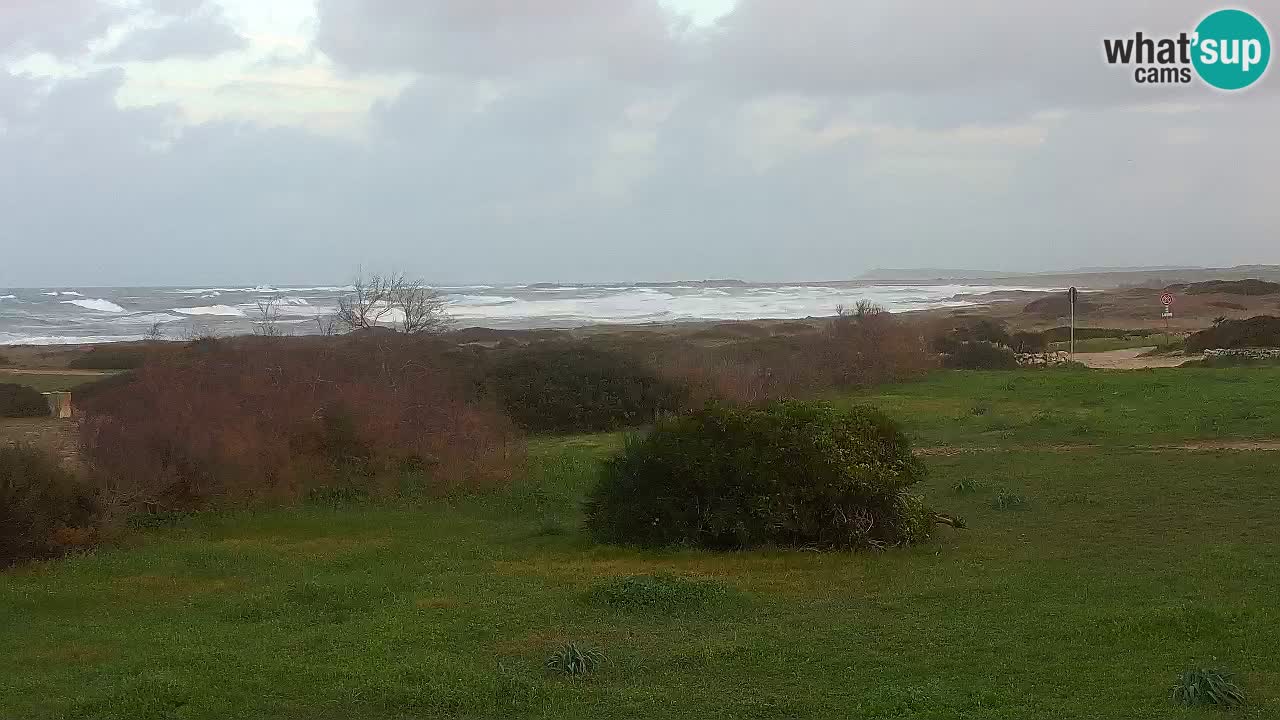 Mari Ermi Strand | Is Arutas – Oristano