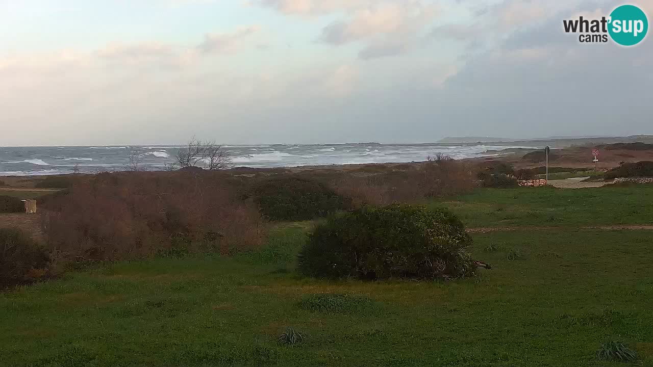 Spiaggia Mari Ermi | Is Arutas – Oristano