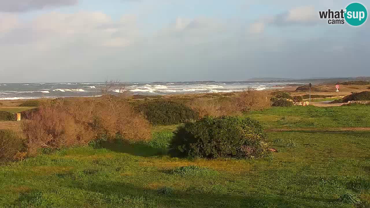 Mari Ermi Strand | Is Arutas – Oristano