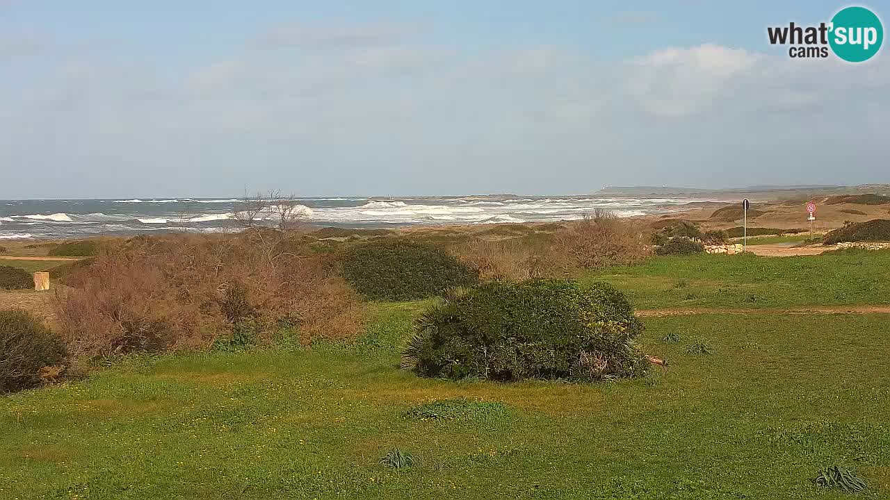 Plaža Mari Ermi | Is Arutas – Oristano