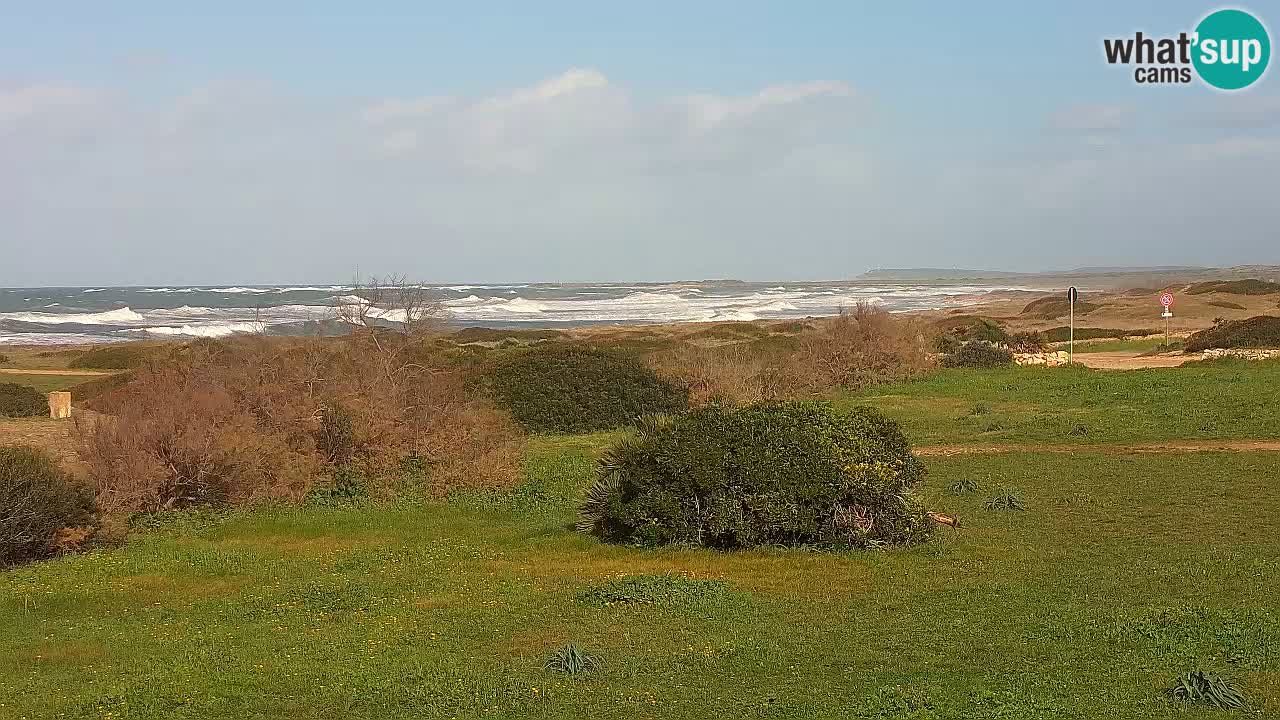 Plage Mari Ermi | Is Arutas – Oristano