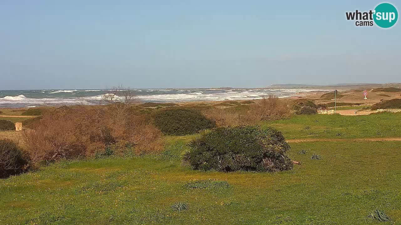 Plaža Mari Ermi | Is Arutas – Oristano
