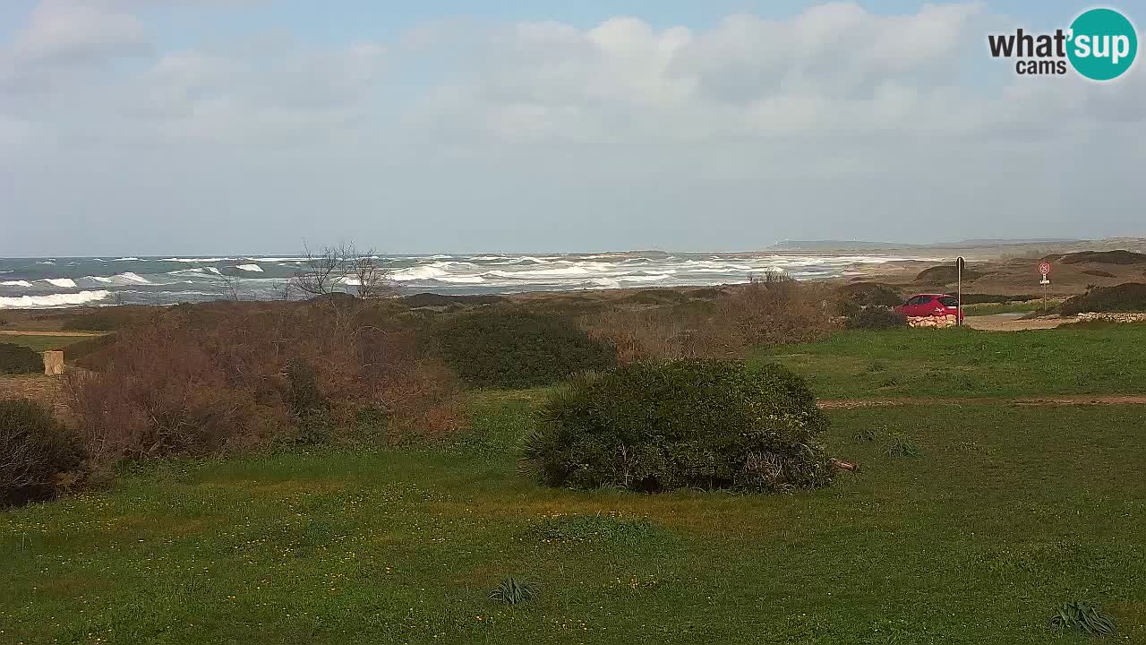 Playa Mari Ermi | Is Arutas – Oristano