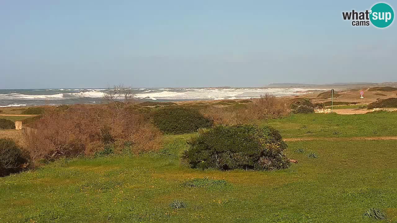 Plage Mari Ermi | Is Arutas – Oristano