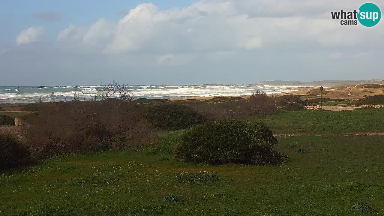 Plage Mari Ermi | Is Arutas – Oristano