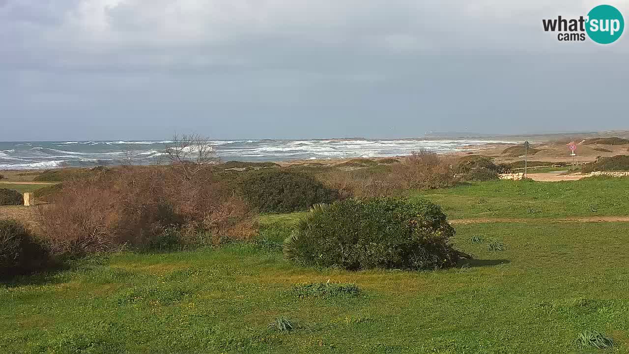Playa Mari Ermi | Is Arutas – Oristano