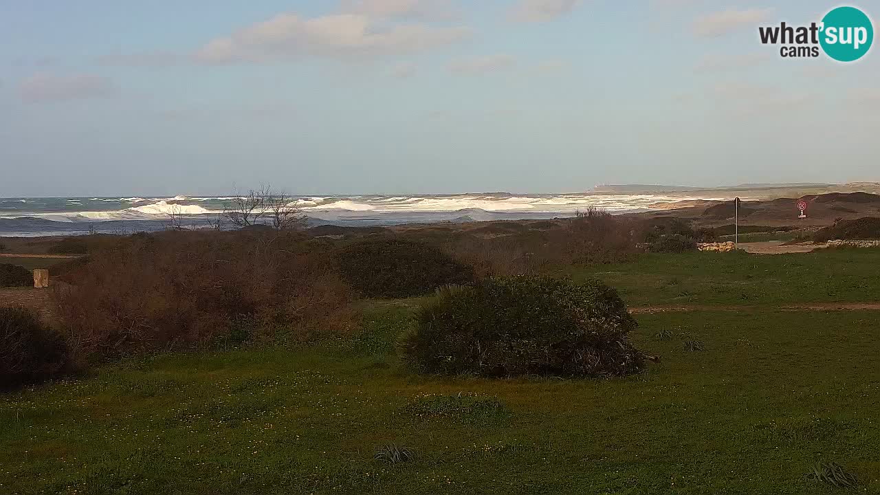 Plaža Mari Ermi | Is Arutas – Oristano