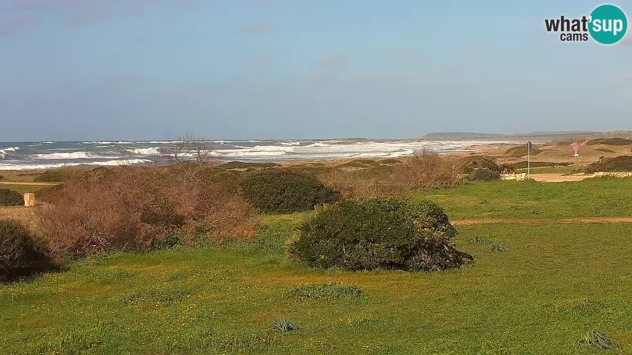 Plaža Mari Ermi | Is Arutas – Oristano