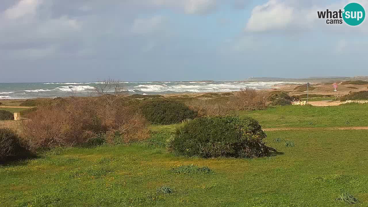 Mari Ermi beach | Is Arutas – Oristano