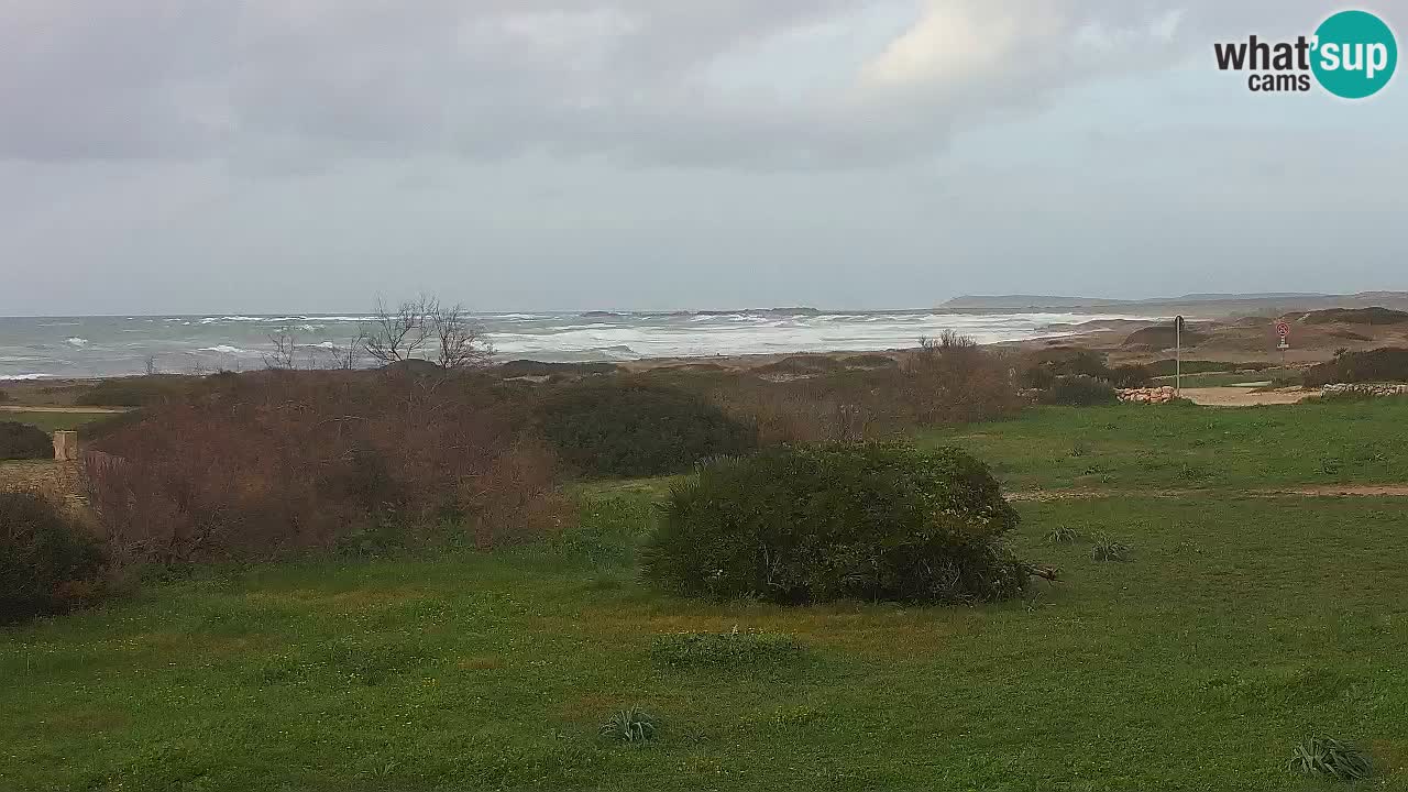 Mari Ermi beach | Is Arutas – Oristano