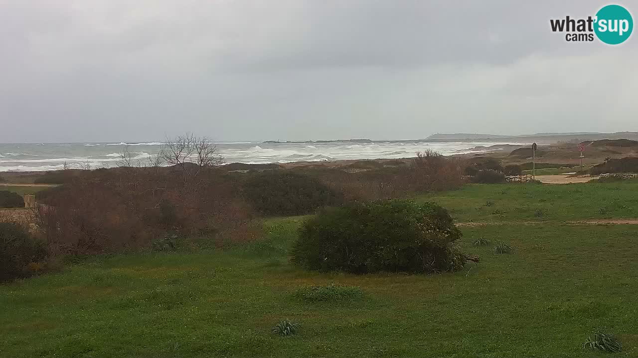 Mari Ermi beach | Is Arutas – Oristano