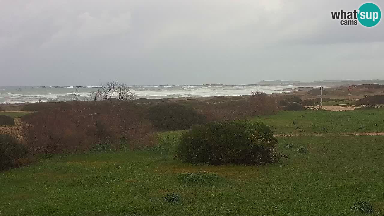 Plaža Mari Ermi | Is Arutas – Oristano