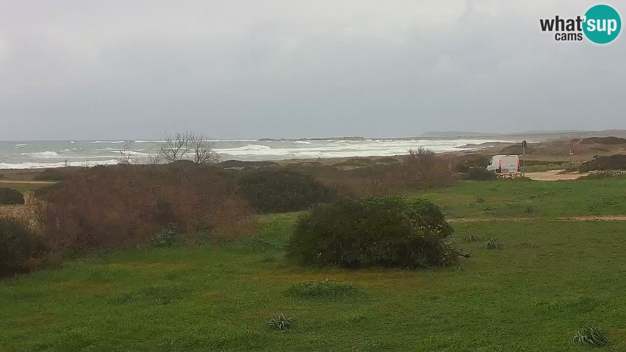 Spiaggia Mari Ermi | Is Arutas – Oristano