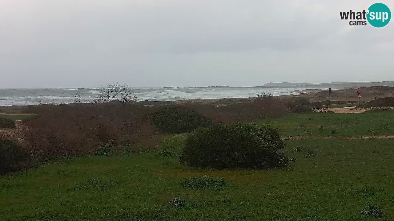 Mari Ermi beach | Is Arutas – Oristano