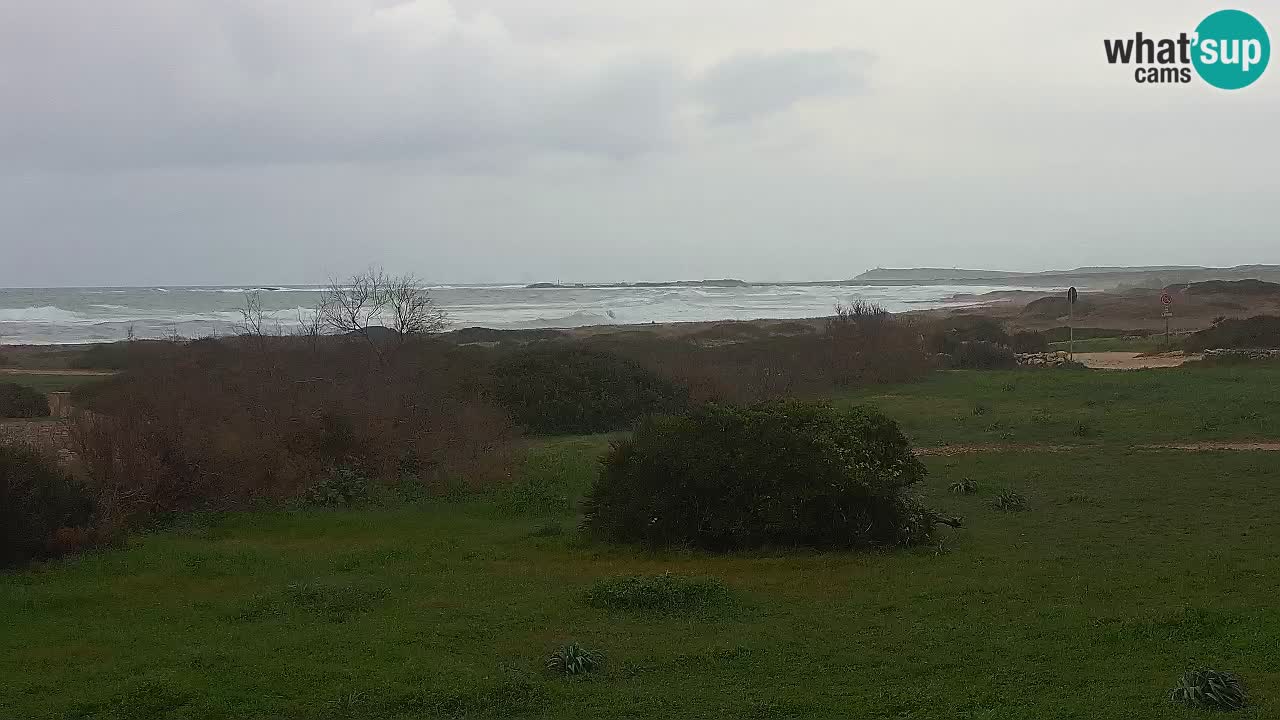 Mari Ermi beach | Is Arutas – Oristano