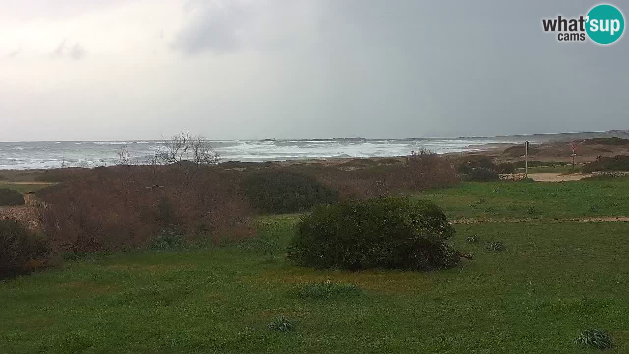 Mari Ermi beach | Is Arutas – Oristano