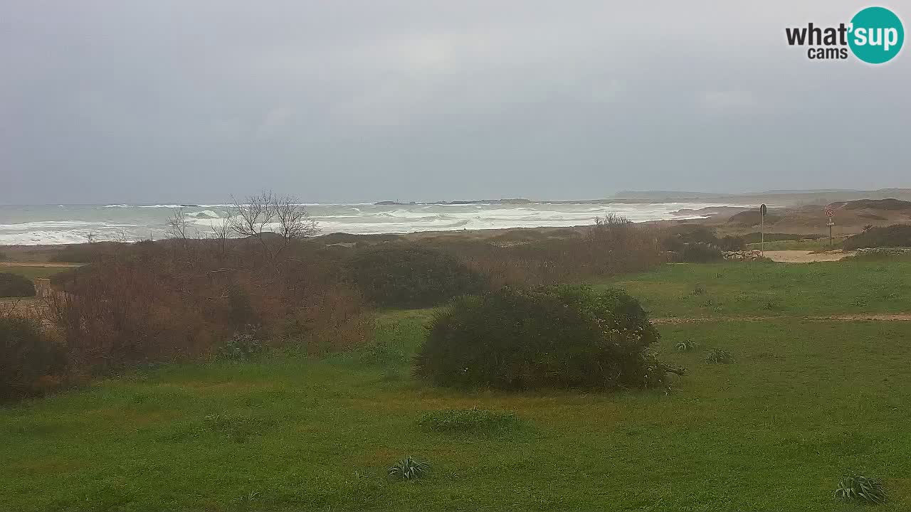 Mari Ermi beach | Is Arutas – Oristano