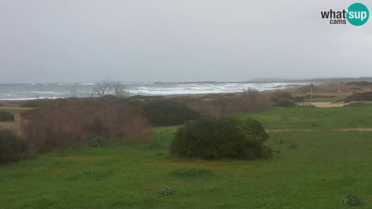 Plage Mari Ermi | Is Arutas – Oristano