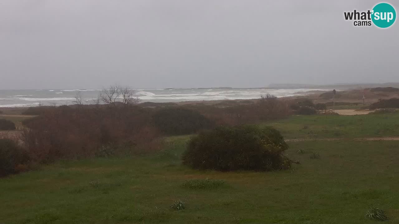 Plaža Mari Ermi | Is Arutas – Oristano