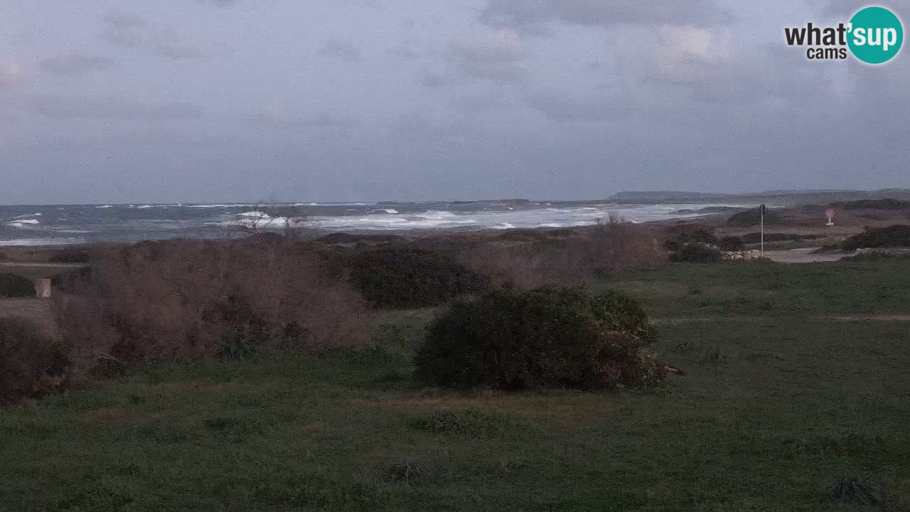 Spiaggia Mari Ermi | Is Arutas – Oristano