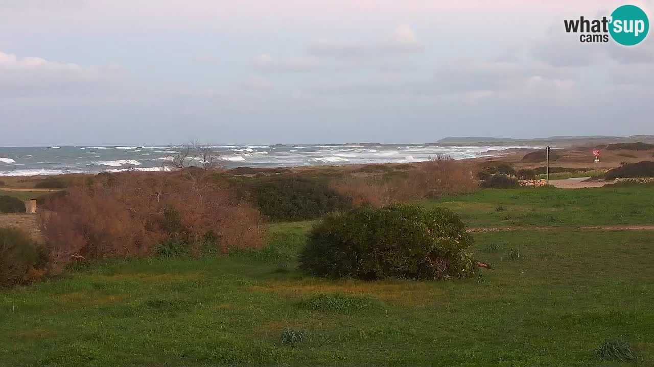 Plaža Mari Ermi | Is Arutas – Oristano