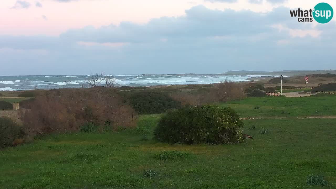 Spiaggia Mari Ermi | Is Arutas – Oristano