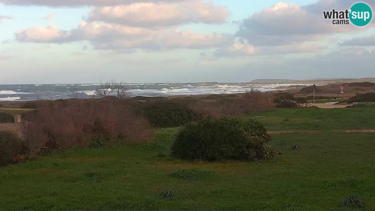 Mari Ermi beach | Is Arutas – Oristano