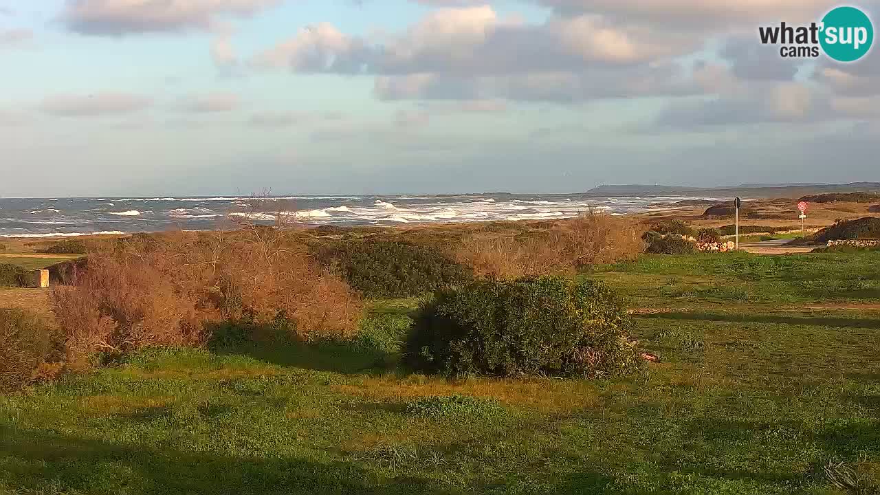 Mari Ermi beach | Is Arutas – Oristano