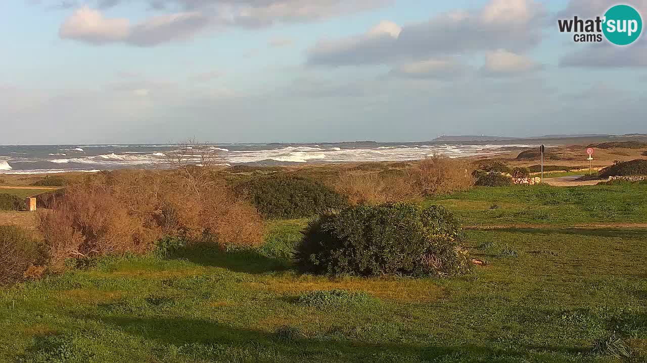 Mari Ermi Strand | Is Arutas – Oristano