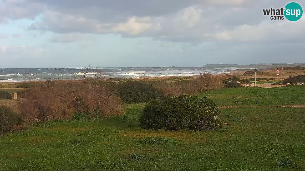 Plage Mari Ermi | Is Arutas – Oristano