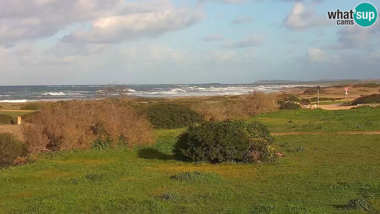 Mari Ermi Strand | Is Arutas – Oristano