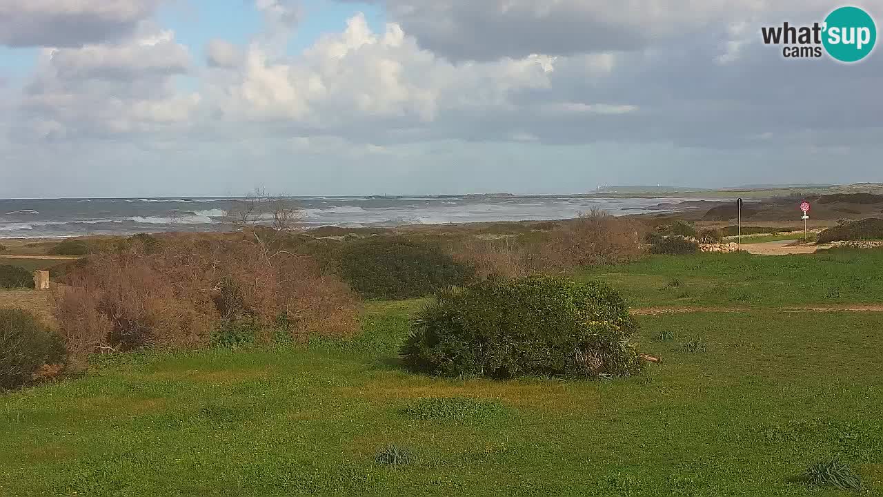 Spiaggia Mari Ermi | Is Arutas – Oristano