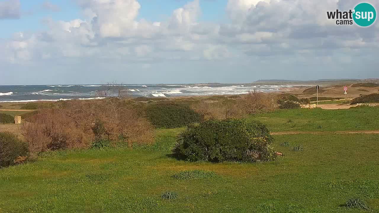 Plage Mari Ermi | Is Arutas – Oristano