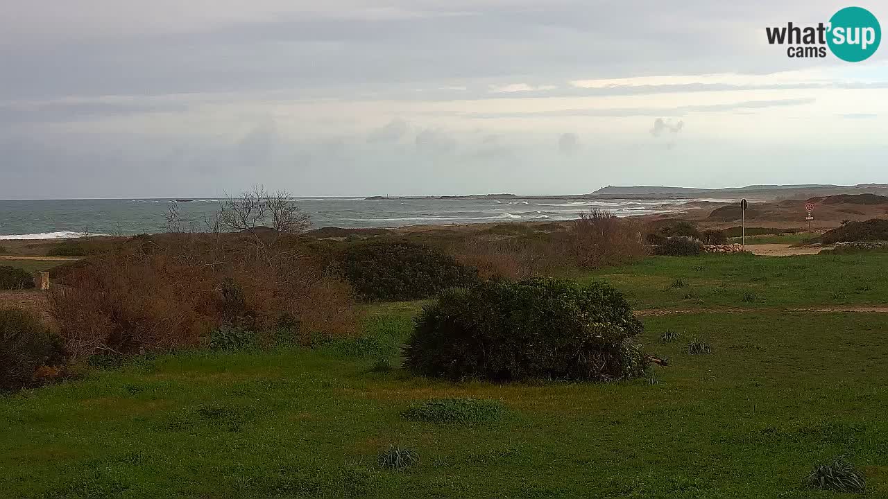 Plaža Mari Ermi | Is Arutas – Oristano