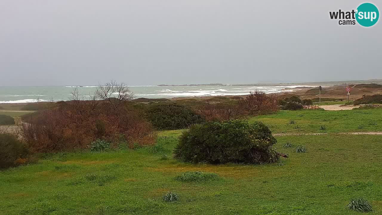 Mari Ermi beach | Is Arutas – Oristano