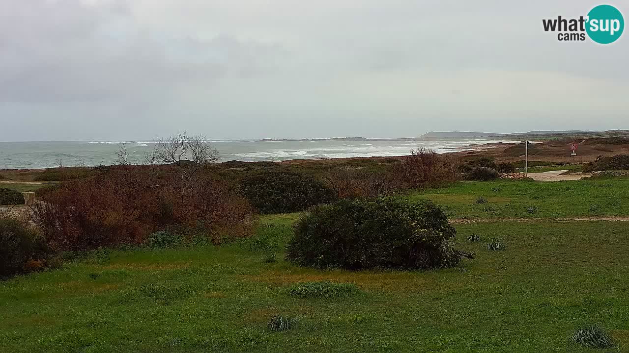 Playa Mari Ermi | Is Arutas – Oristano