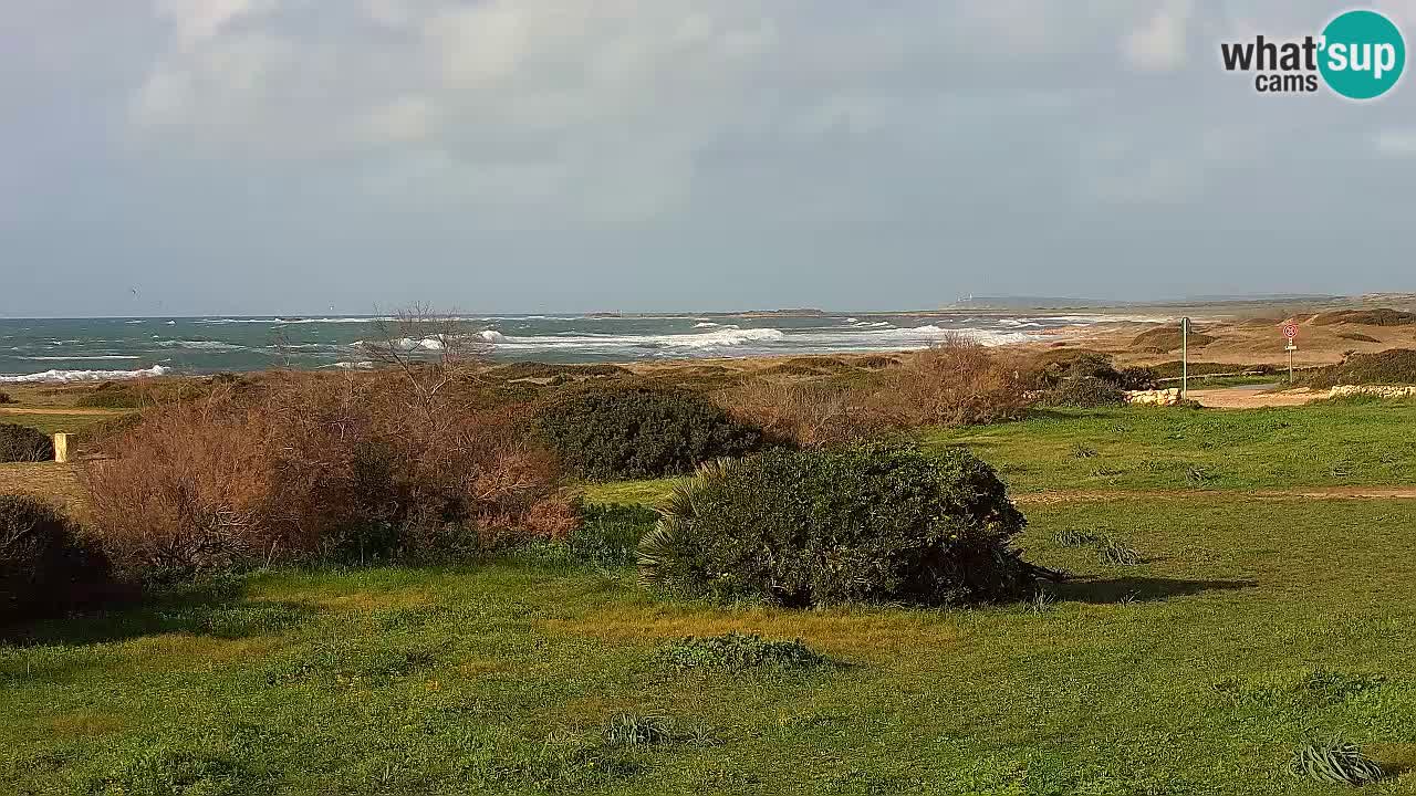 Mari Ermi Strand | Is Arutas – Oristano